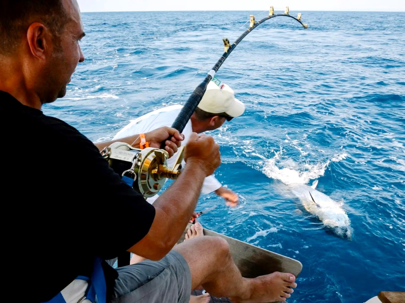 Big game fishing cover image 3
