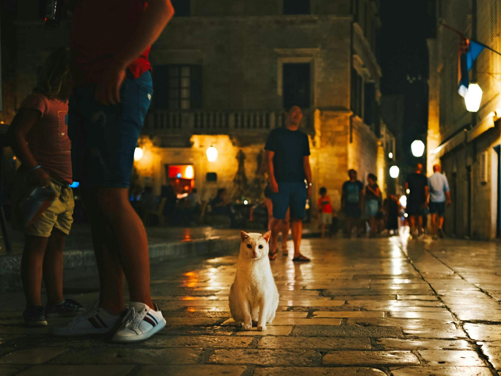 Dalmatians: The people inline image 2