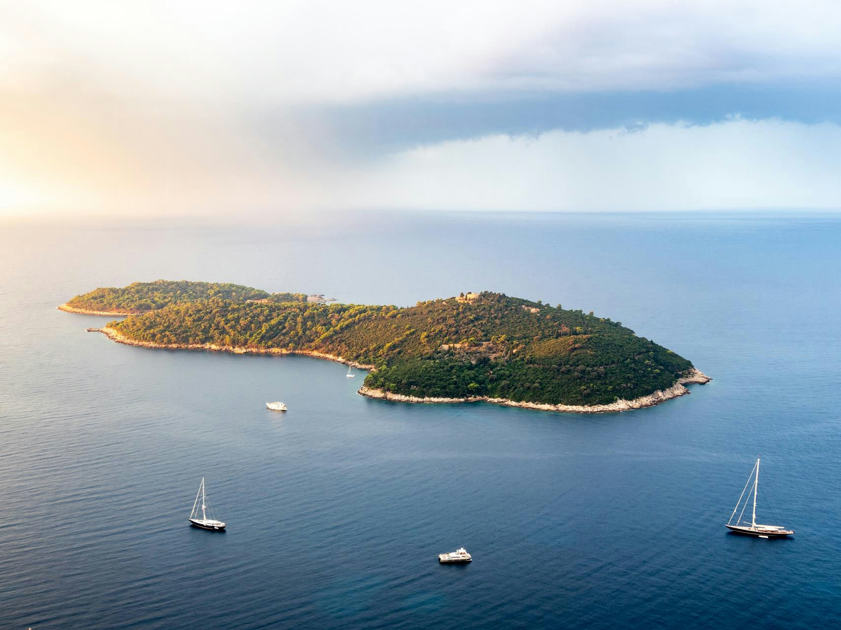 On with the stag – Šipan island inline image 2