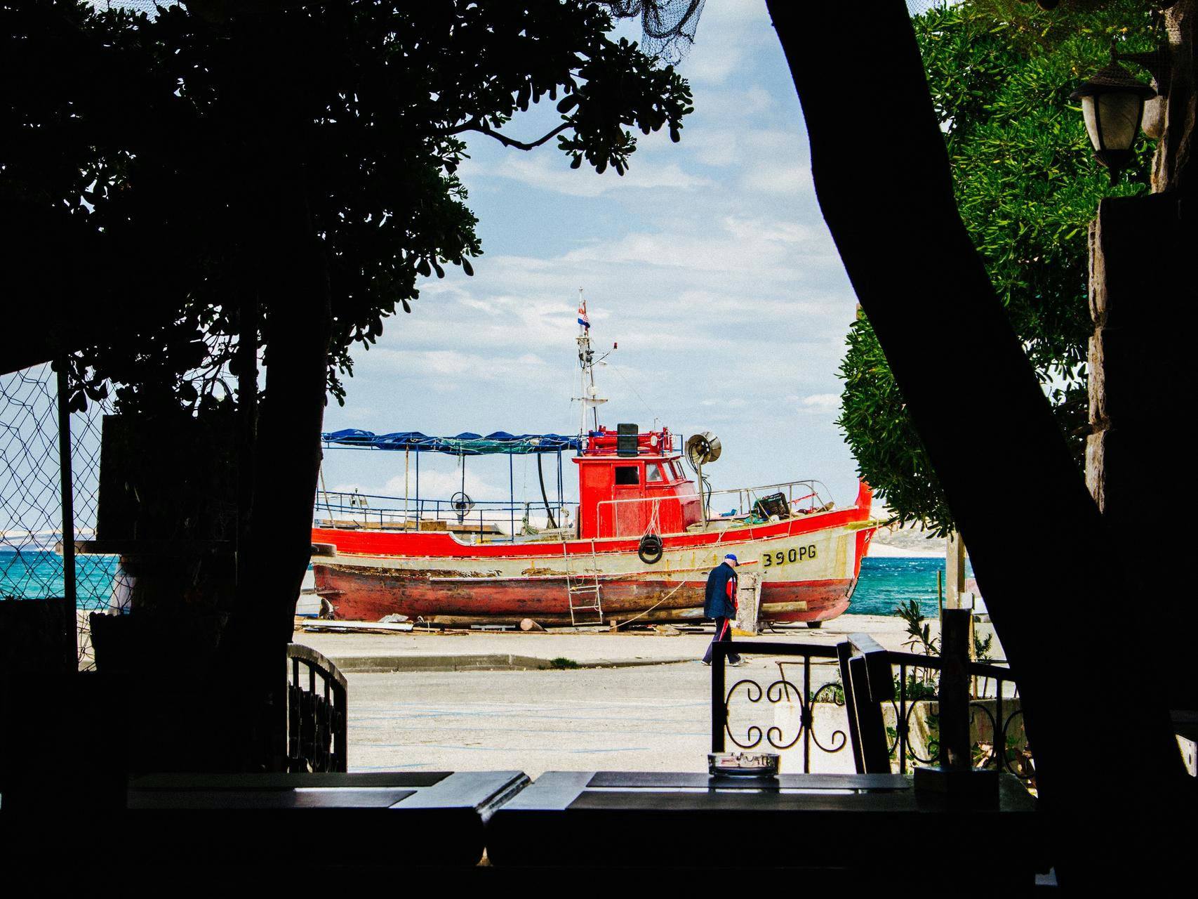 On with the stag – Šipan island article cover